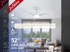 60±5W Silver Color 52