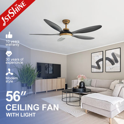 Beli 56 