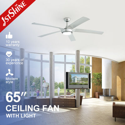 Beli 65