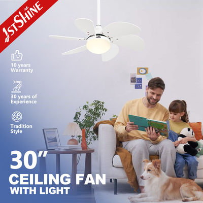 White Ceiling Fan Light Kids' Room DC Motor 30 Inch Mini LED Ceiling Fan